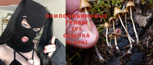 2c-b Алзамай