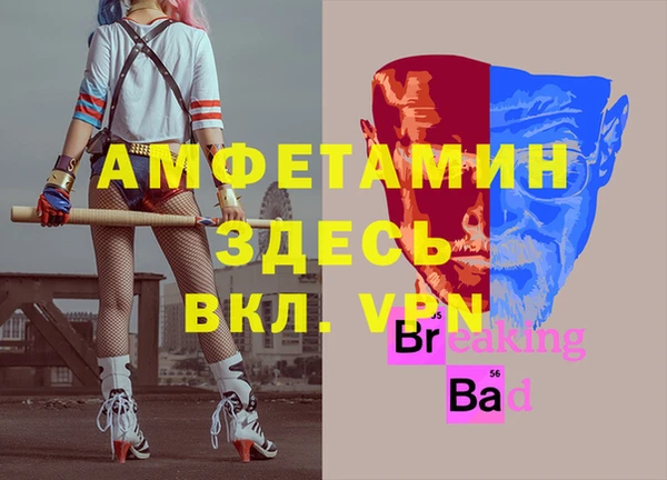 прущие грибы Волоколамск