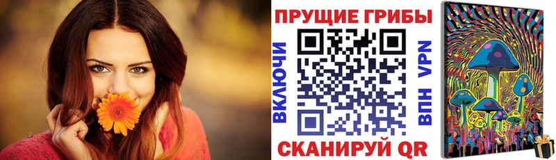 Галлюциногенные грибы ЛСД  Березники 